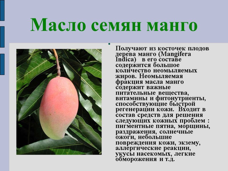 Масло семян манго  Получают из косточек плодов дерева манго (Mangifera Indica)  